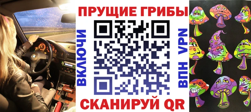 Купить закладки  Железногорск-Илимский  Псилоцибиновые грибы Psilocybine cubensis 